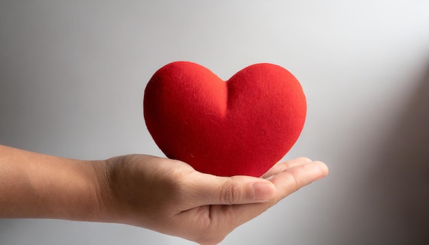 la mano está sosteniendo un corazón rojo en fondo blanco concepto de San Valentín