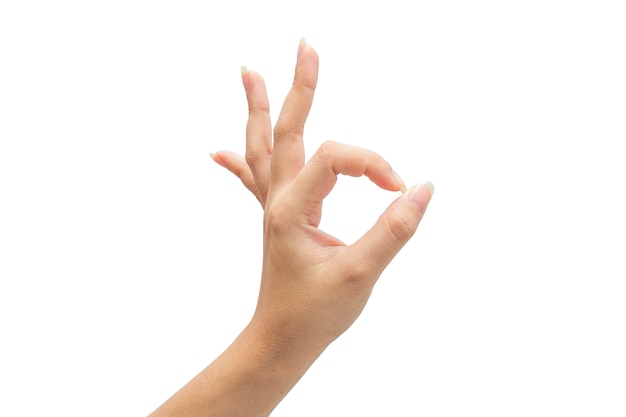 Foto mano femenina en el aislado sobre fondo blanco