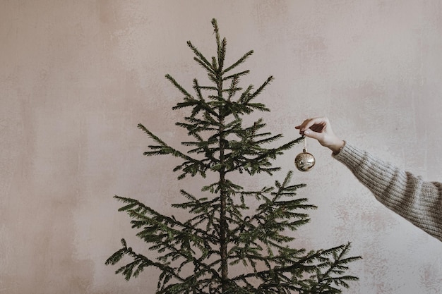 Mano femenina decora el árbol de Navidad con adornos dorados frente a una pared rosa polvorienta neutra Concepto de preparación de celebración de vacaciones de Año Nuevo de Navidad minimalista minimalista elegante