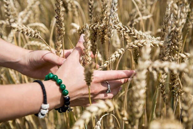 Foto mano femenina con espiga de trigo horario de verano