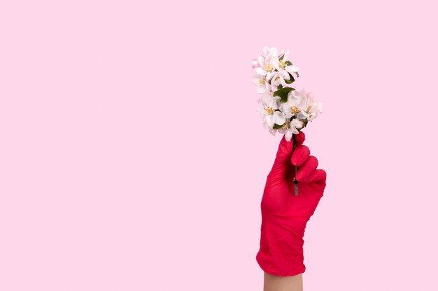 La mano femenina en un guante rosado sostiene una flor. Mantente seguro, quédate en casa