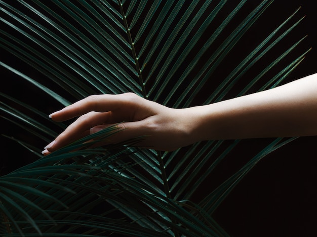 Foto mano femenina con hojas de palma