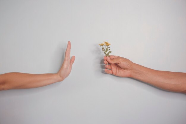 Mano femenina y masculina con una flor sobre un fondo azul.