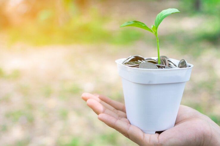 Mano femenina con monedas con crecimiento de plantas.