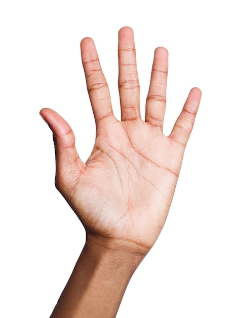 Foto la mano femenina negra muestra el número cinco aislado. contando gesticular, enumeración, fondo blanco.