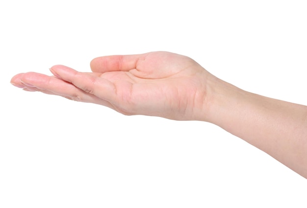 Mano femenina con la palma abierta en un fondo aislado