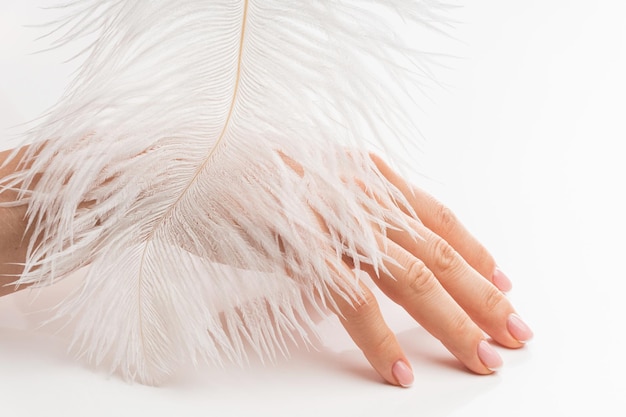 Mano femenina con piel suave y suave pluma de avestruz sobre fondo blanco.