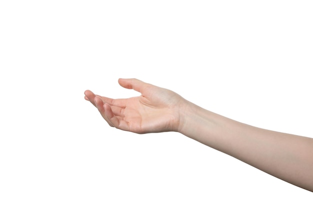 Foto mano femenina de png aislada sobre un fondo blanco