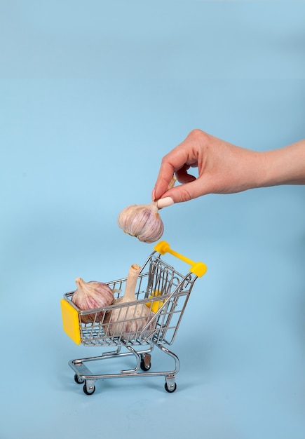 Una mano femenina pone una cabeza de ajo en una canasta de supermercado