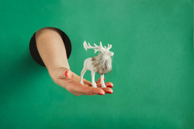 Foto mano femenina que sostiene la caja de regalo de navidad a través del agujero redondo en papel verde.