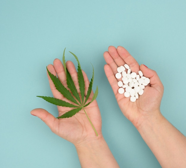 Mano femenina que sostiene la hoja de cannabis verde y un puñado de pastillas redondas blancas sobre una superficie azul, concepto de legalización como tratamiento alternativo y alivio del dolor