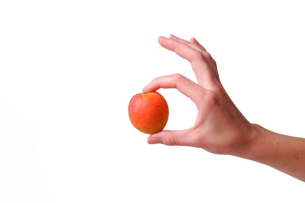 Mano femenina con sabroso albaricoque sobre fondo blanco. Crema para manos y tratamiento o idea y concepto de alimentos orgánicos saludables