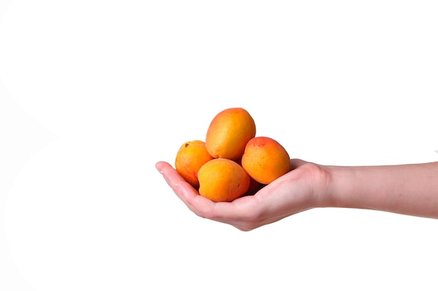 Mano femenina con sabroso albaricoque sobre fondo blanco. Crema para manos y tratamiento o idea y concepto de alimentos orgánicos saludables