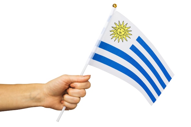 Mano femenina sosteniendo la bandera de Uruguay aislada en la plantilla de fondo blanco para diseñadores