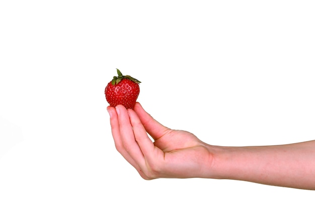 Mano femenina sosteniendo una fresa dulce fresca aislada sobre fondo blanco. fresas orgánicas.