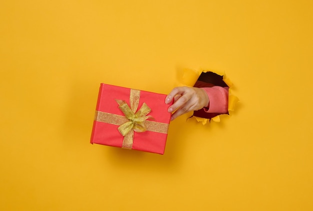 Foto la mano femenina sostiene una caja con un regalo sobre un fondo amarillo, parte del cuerpo sobresale de un agujero rasgado en un fondo de papel. enhorabuena, sorpresa navideña.