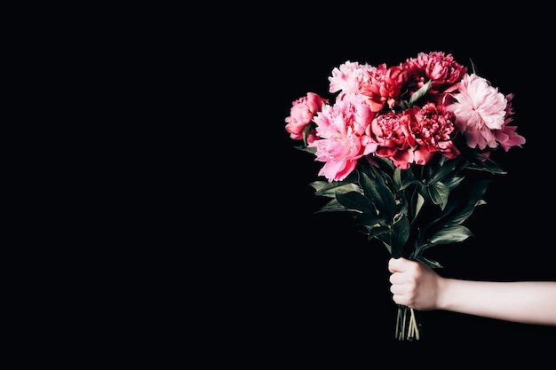 Mano femenina sostiene hermoso ramo de peonías Concepto de entrega de flores