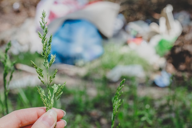 Foto mano femenina sostiene hierba, espiguilla verde, planta en el fondo de basura en el bosque