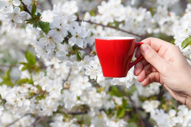 La mano femenina sostiene una taza de café de porcelana con un cerezo en flor en el fondo. Enfoque selectivo en la taza.