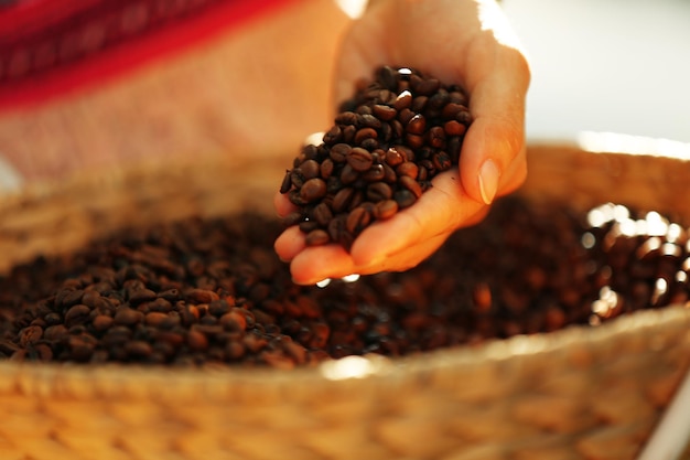 Mano femenina tocando granos de café en la canasta