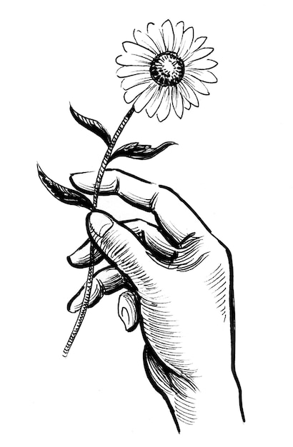 Foto mano con una flor. dibujo a tinta en blanco y negro