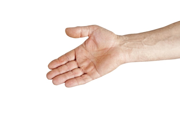 Mano en los fondos png