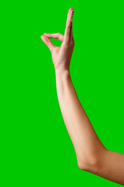 La mano gestando el signo de "okay" contra un fondo verde vibrante