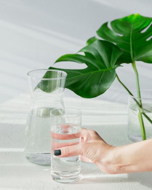 La mano de las hembras sostiene un vaso de agua limpia