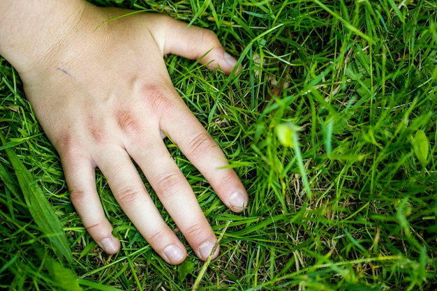 Una mano en la hierba verde