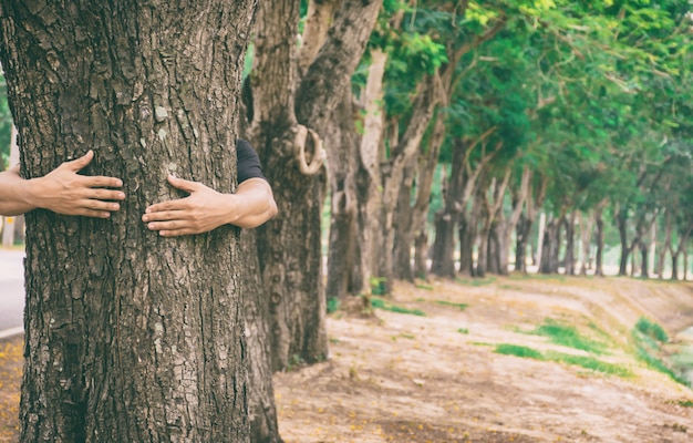 Mano hombre abrazo árbol amor bosques y árboles