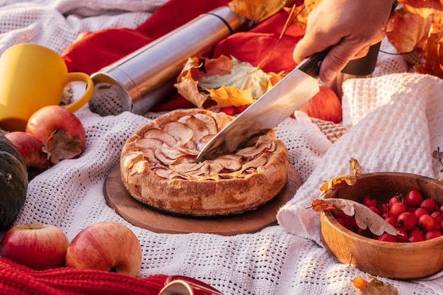 La mano del hombre corta la tarta de manzana con un cuchillo junto a las tazas de manzanas de calabaza con bayas de espino termo de color rojo y amarillo