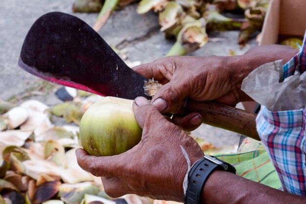 Foto mano de hombre en cortar la palma de azúcar