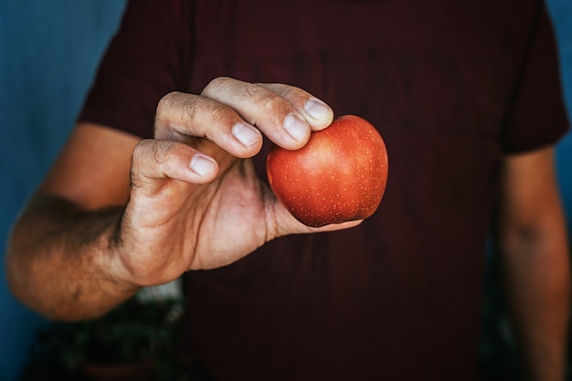 La mano de un hombre de un granjero sosteniendo una manzana roja.