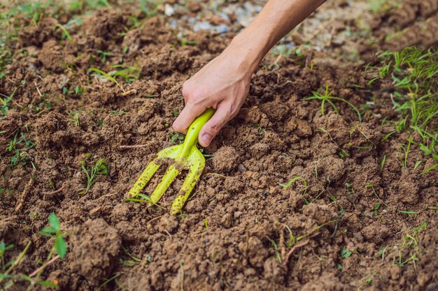 La mano de un hombre con una herramienta de jardinería