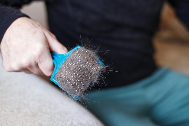 La mano de un hombre sosteniendo el cepillo de peine de gato con piel gris