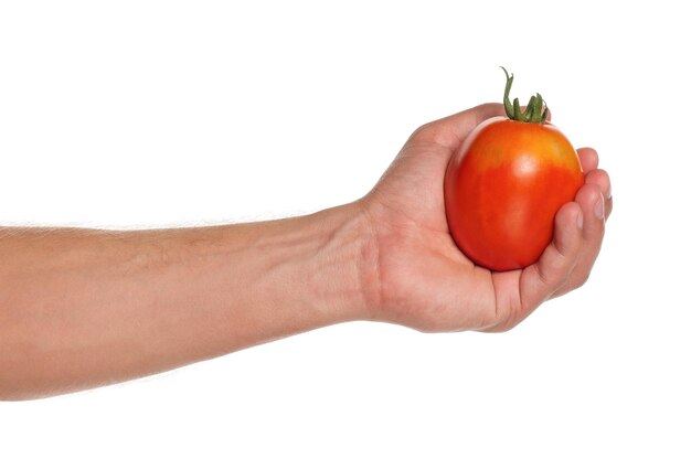Mano de hombre con tomate rojo aislado sobre fondo blanco.