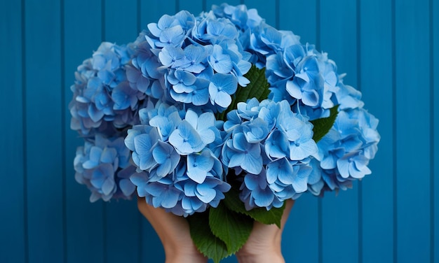 Foto la mano con las hortensias azules