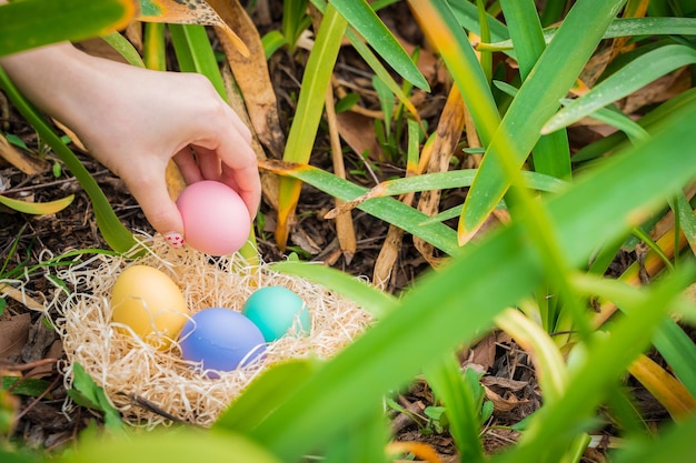 Mano de huevo de Pascua recogiendo huevos de colores en las plantas