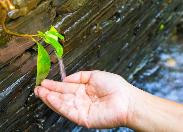 Foto mano humana con el agua caerse