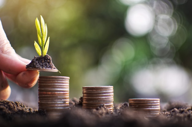 Foto mano humana que sostiene la moneda que planta el dinero al éxito.