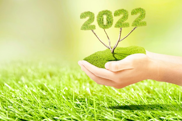 Mano humana sosteniendo el árbol de 2022. Feliz año nuevo 2022
