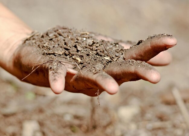 La mano humana sosteniendo la arena