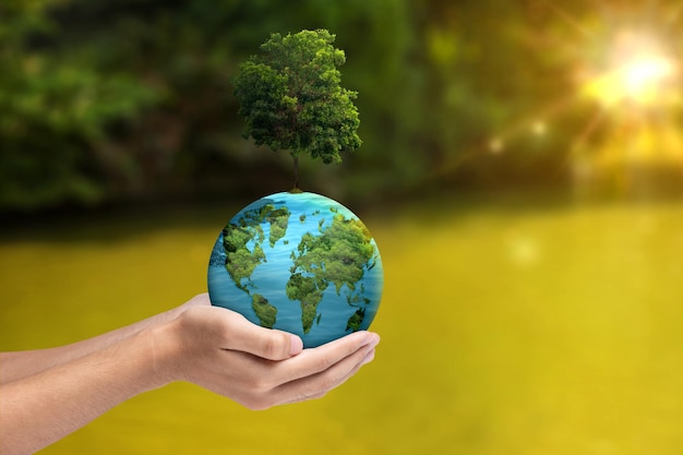 Foto una mano humana sosteniendo un globo con un árbol en crecimiento