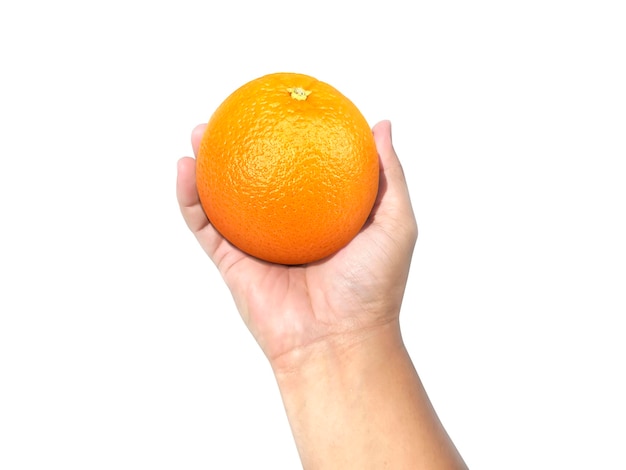 Mano humana sosteniendo una de naranja aislado sobre un fondo blanco.