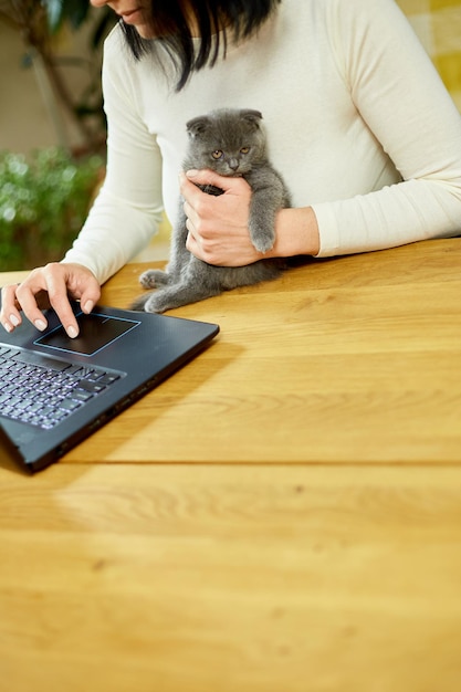 Mano irreconocible Mujer buscando en el sitio web veterinario en una computadora portátil para registrar un gatito