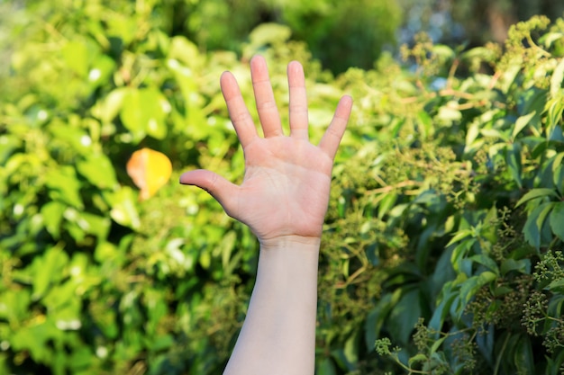 Foto mano izquierda femenina abierta con los dedos extendidos