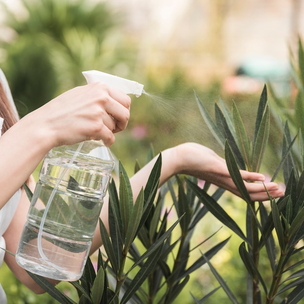 Mano del jardinero hembra rociando agua en la planta de una botella de plástico