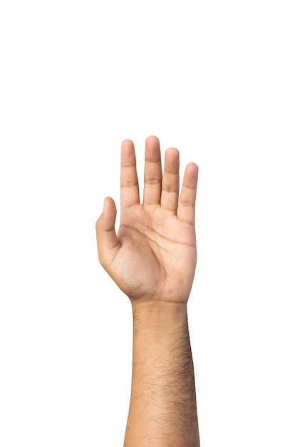 Foto mano levantada hasta el fondo blanco aislado del aire. levanta la mano para votar por la mayoría de votos elección del líder del país. con trazado de recorte.