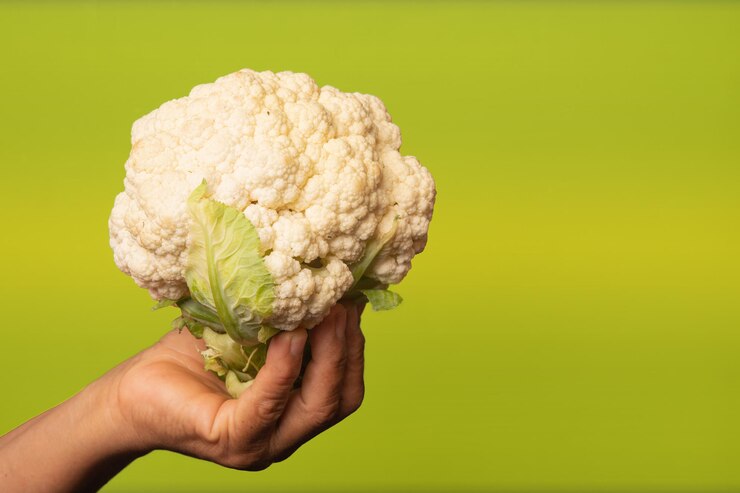 La mano luminosa de la cosecha presenta la coliflor blanca sobre un fondo amarillo