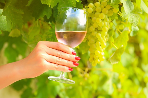 Mano con manicura roja sosteniendo copa de vino rosado en viñedo